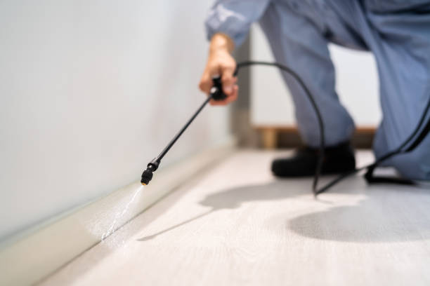 Bed Bug Pre-Treatment Preparation Assessment in Alexander City