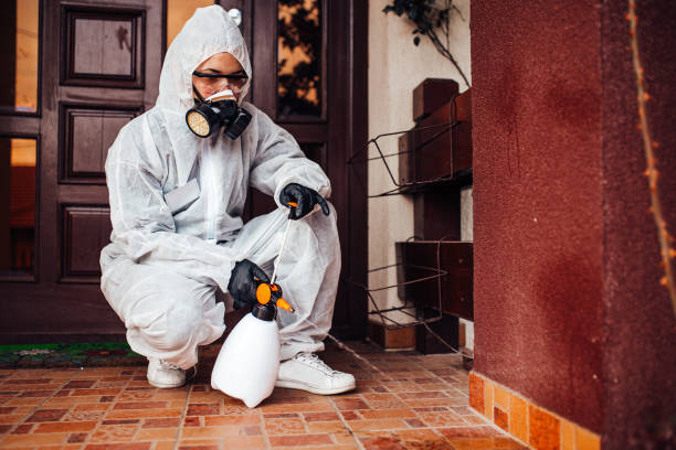 Multi-Unit and Airbnb Bed Bug Protocol in Alexander City