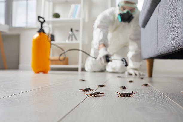 Post-Treatment Bed Bug Interceptor Monitoring in Alexander City
