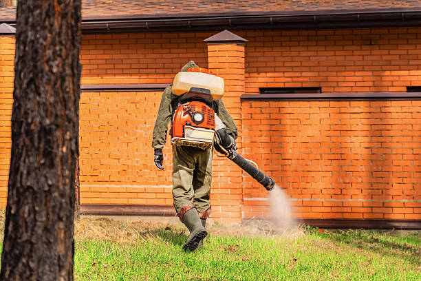 Bed Bug Clearance Verification and Documentation in Alexander City